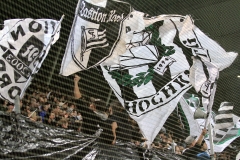 (c) Martin Hirtenfellner Fotografie