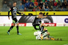 (c) Martin Hirtenfellner Fotografie