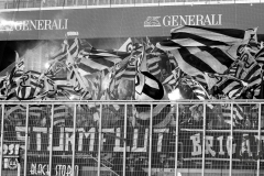 IMG_5332p