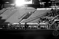 IMG_0606bw