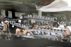 IMG_0557p