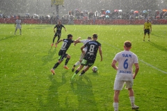 DSC_0182
