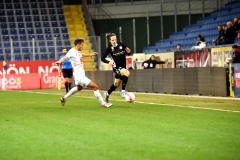 Beganovic