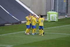 Gegentor-Vienna-Rudel