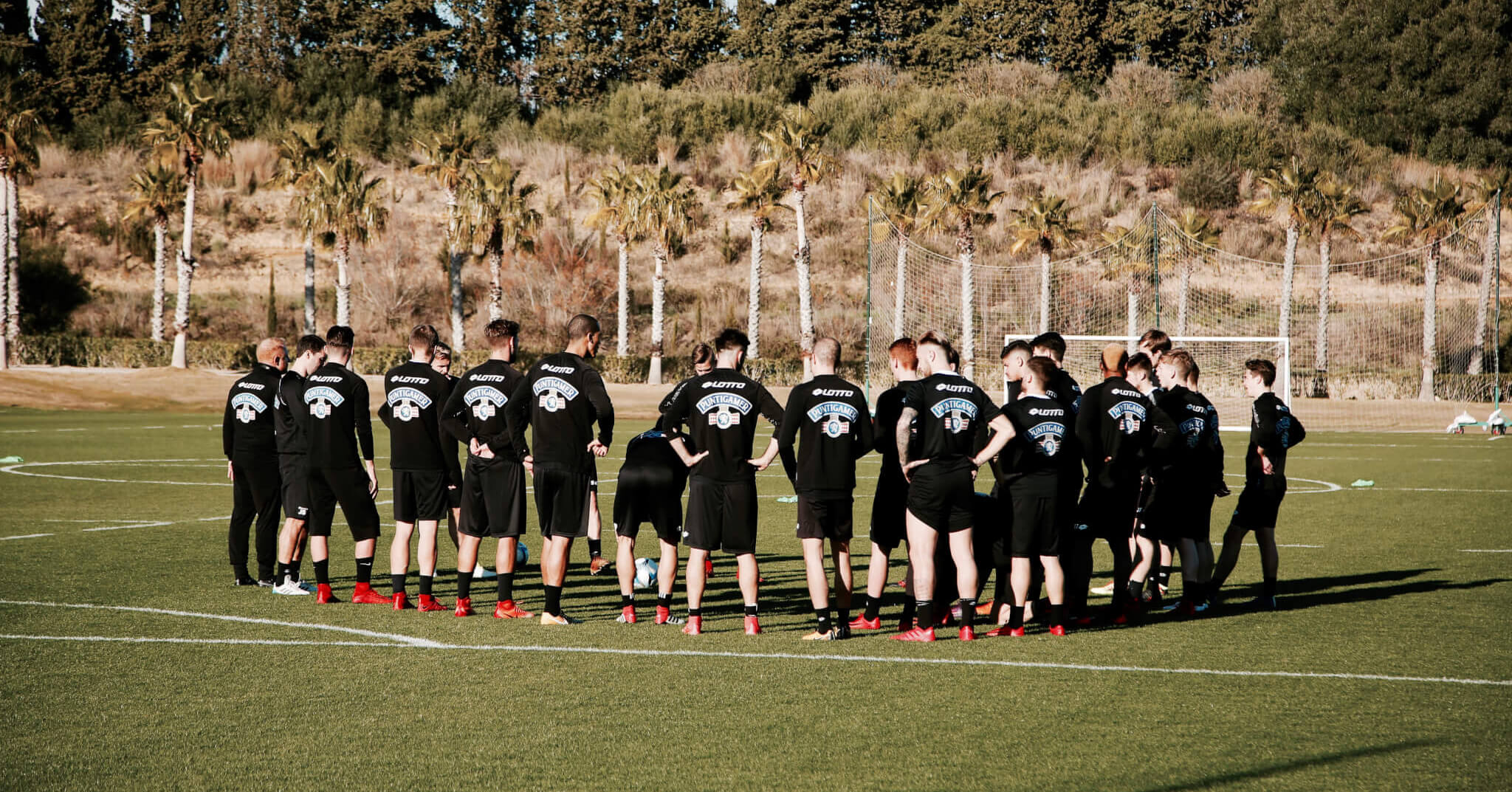 der frühe wurm fängt den vogel